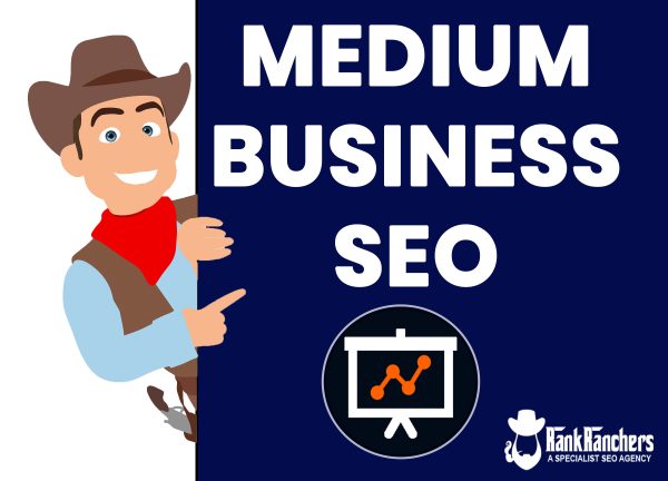 medium business seo package